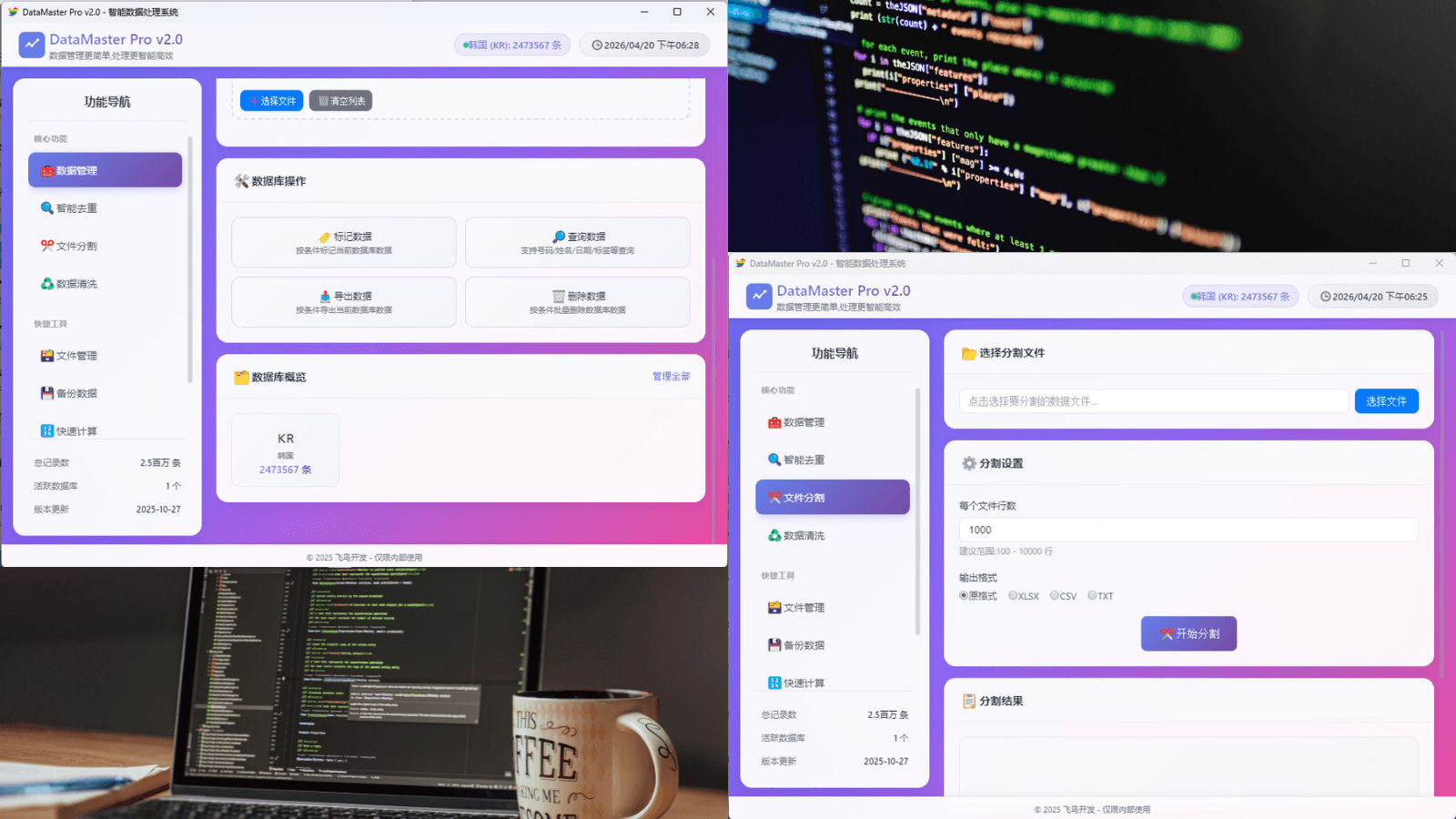 DataMaster Pro